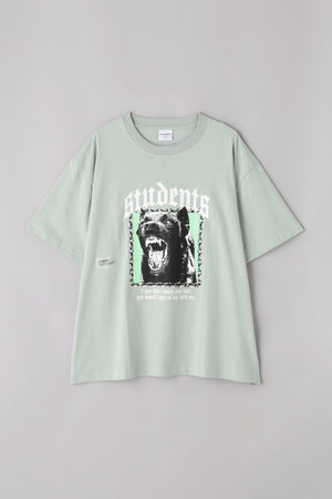 097e2240-cd61-5188-bad5-e60c928ccf76_Image