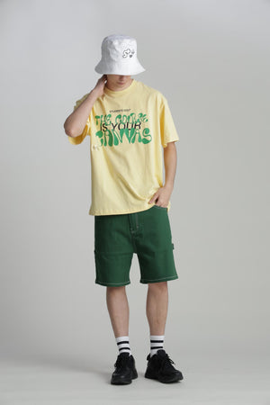 e0caedd0-7df3-5ac6-8f93-04176c81c9f7_Image