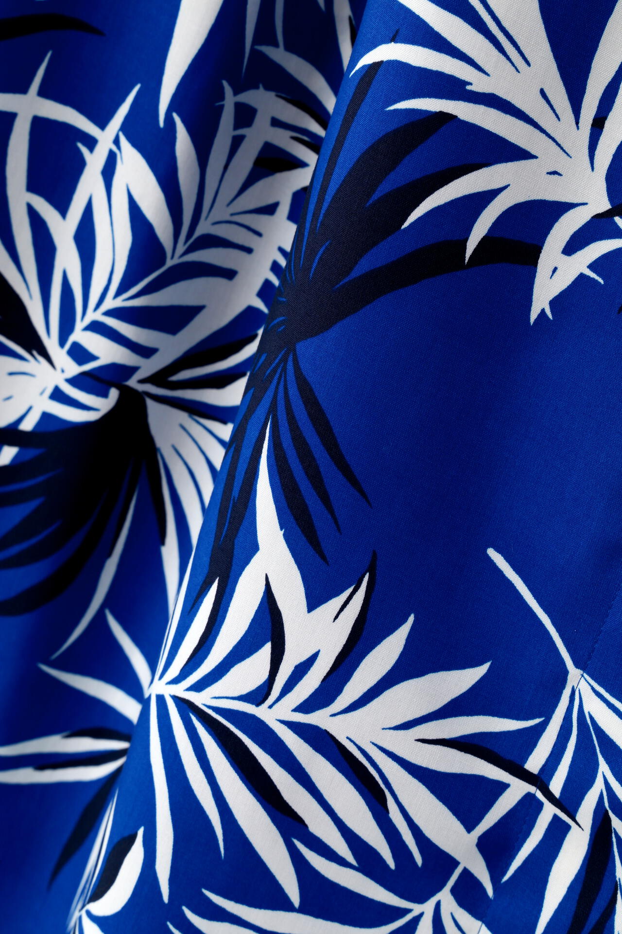 5f3fba75-b82c-5768-ac9c-ab6e2e1995f5_Image