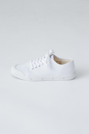 56295e15-6f8c-5a6e-a9c6-5d94f577b10f_Image