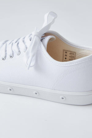 1fa4eda5-e491-5d98-8c3c-ab19f6c6db87_Image