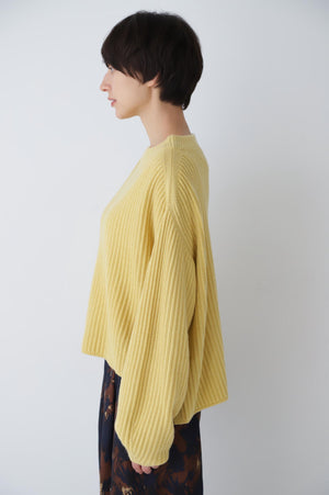 2e85fca8-3f8d-5134-ae26-3895af2dd785_Image