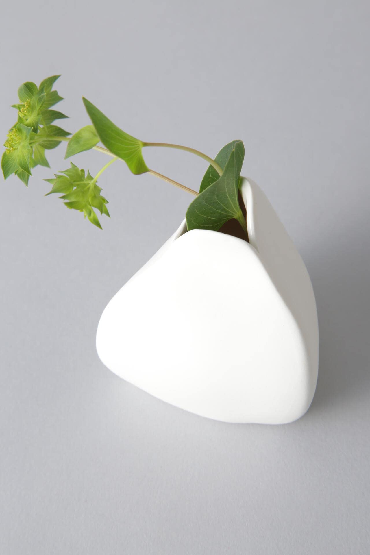 【Ｇｇ】Flower Vase by Roos Van de Velde　Ｓ