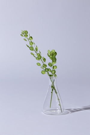 b2b14dfa-269c-5b13-a430-8c97c20932df_Image