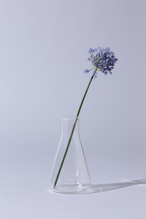 0d58dc1b-b32b-51dd-bdc4-bc059c4e3067_Image