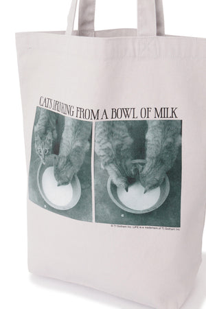 a8f41248-6dc4-5275-a420-24528e7e5c25_Image