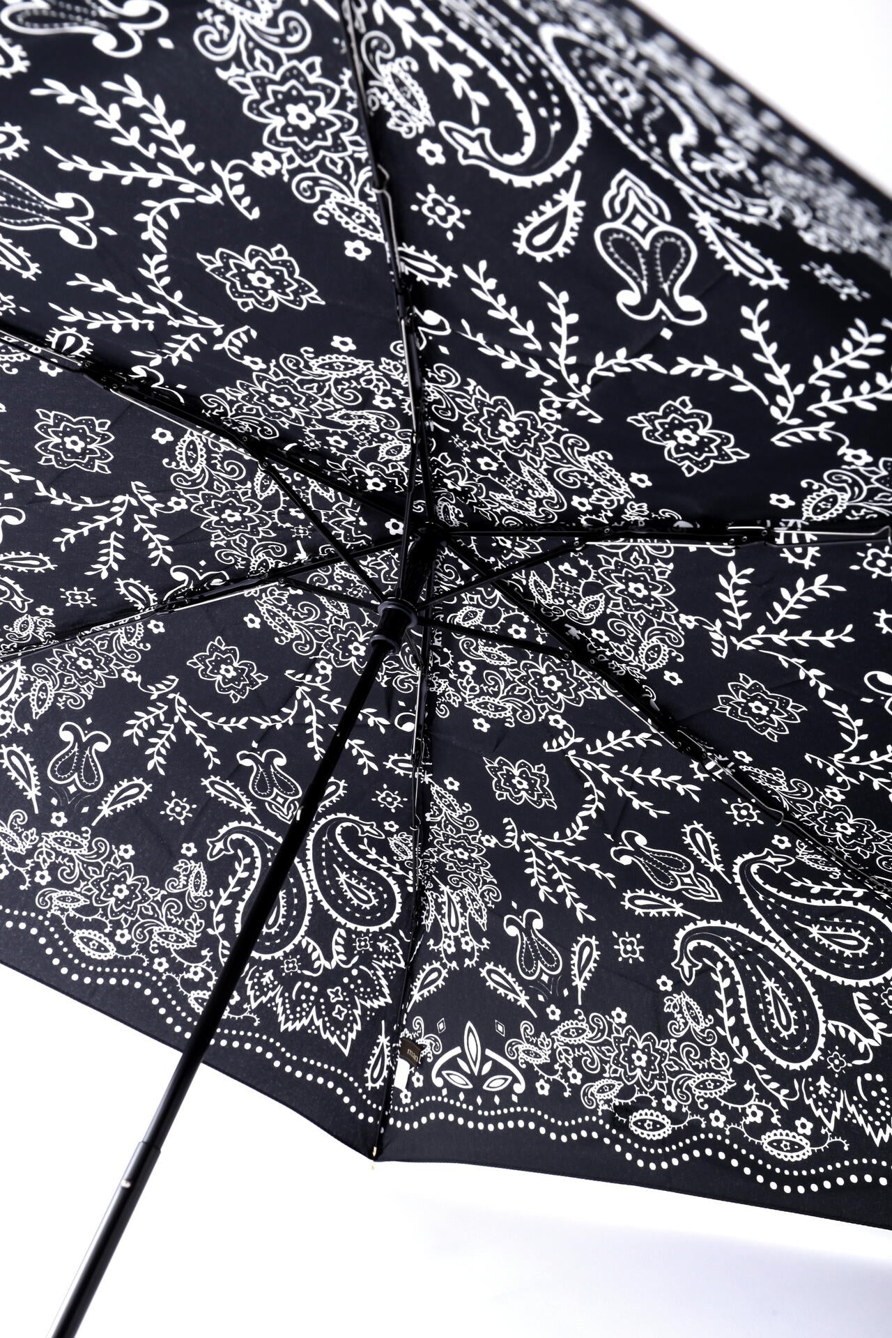 1d590f61-1a0b-52fe-a792-dd7d7e9ab0a0_Image