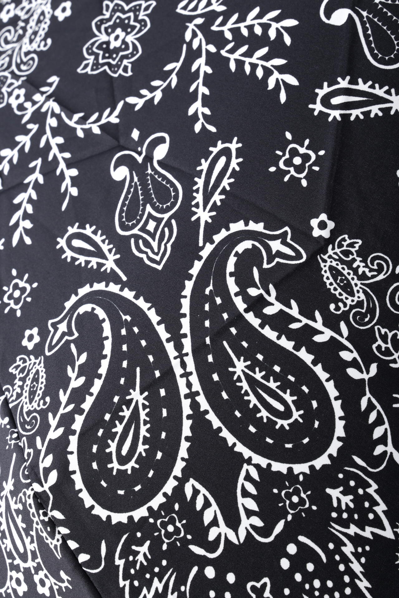 e86cdedf-53b6-59d9-af88-934fa6bdd54c_Image