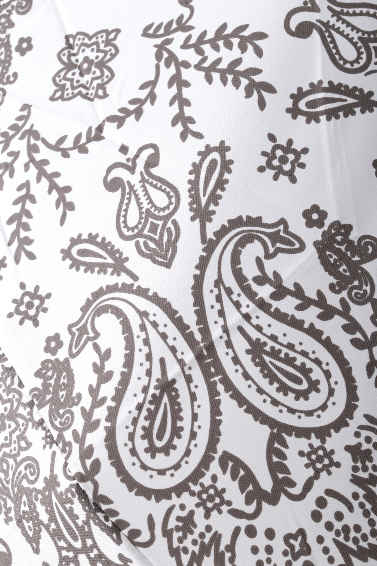 36100669-9a7d-5a63-8564-63afbc21473b_Image