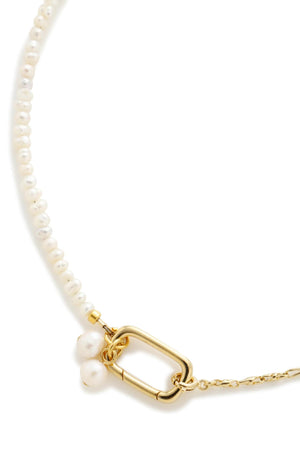 cfaf4f2e-6b8a-5e70-b058-9e9b601f9d40_Image