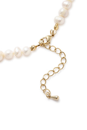 5b4316fa-5084-57fc-a00e-c9191b87c019_Image