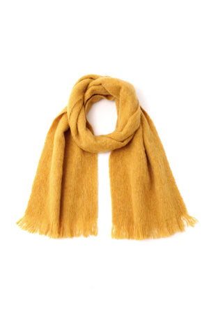 24c28de3-1f1f-53db-a148-26ac70694a2a_Image