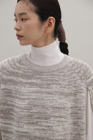 9c4491d7-1ae0-53ce-983c-276b7b1bea8c_Image