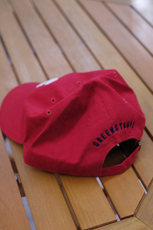 388885a7-5b55-5c2e-b363-b5baab541132_Image