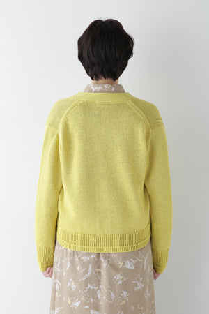 a97721b9-8954-52b1-99f7-a17a634882f2_Image