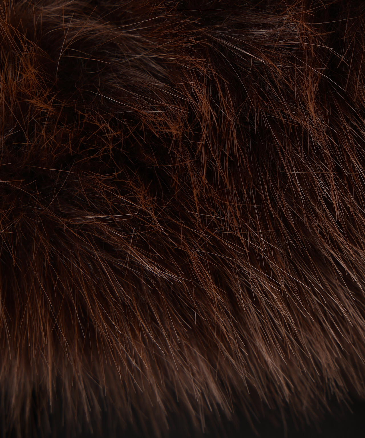 ベルト付ダウン