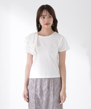 04d15c0d-b64a-5909-8275-3978709a5f1e_Image