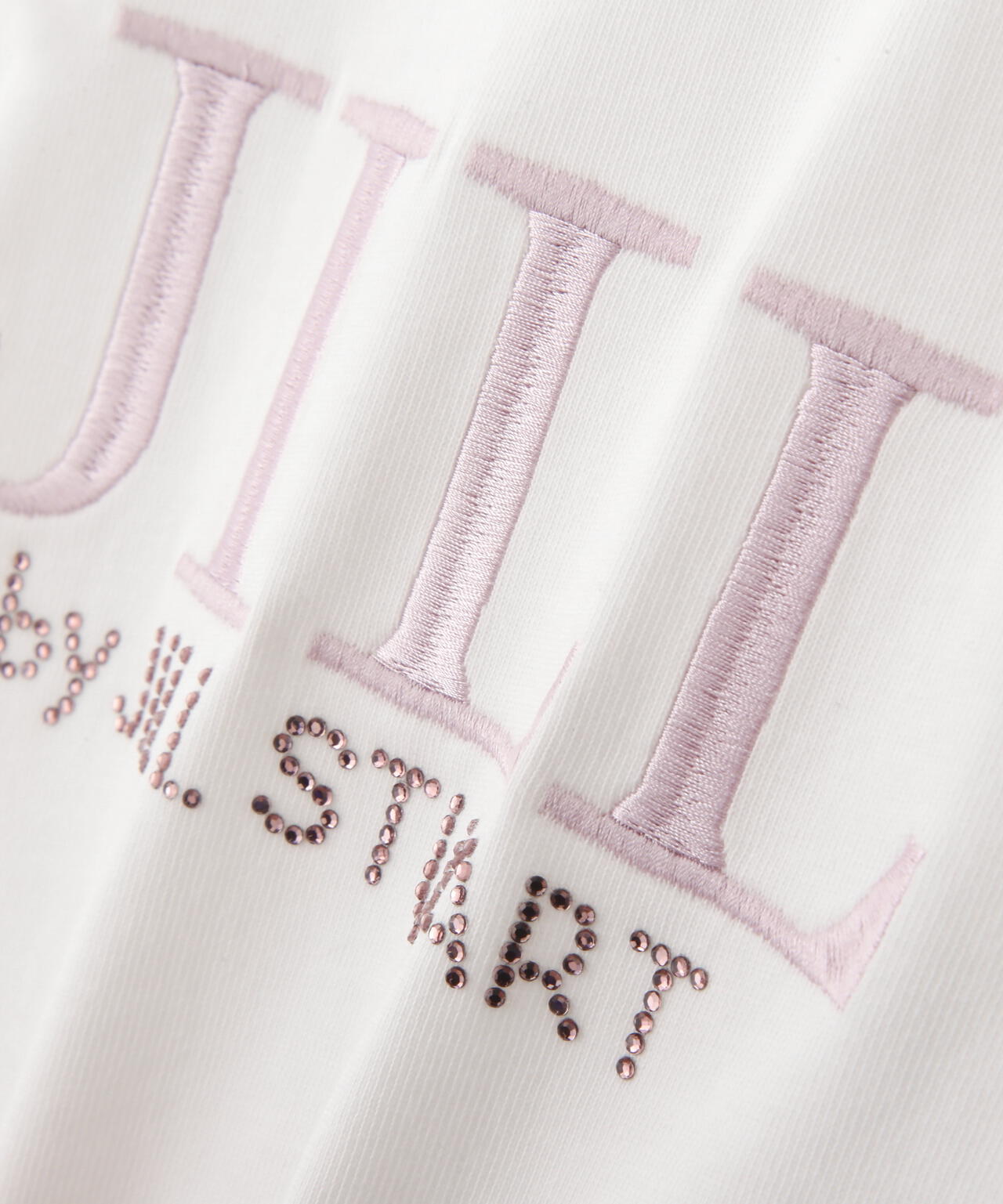 オーガニックコットン刺繍＆ホットフィットロゴTシャツ