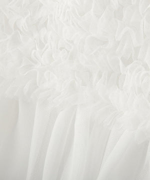 34259242-da47-5b64-8c3d-f99a03d6f20c_Image