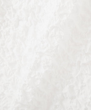 9d86615f-682e-566f-9004-d98e15461726_Image