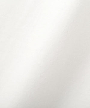 e25739da-2f71-514c-be66-7d73bb212c2f_Image