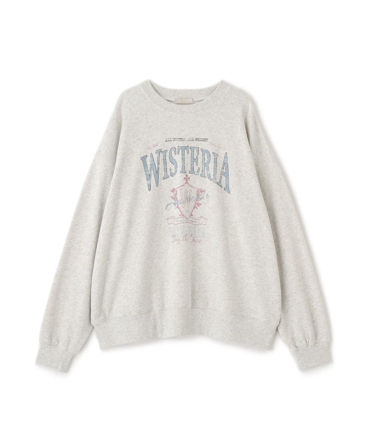 アソートカレッジロゴビッグスウェット | FREE'S MART（フリーズ