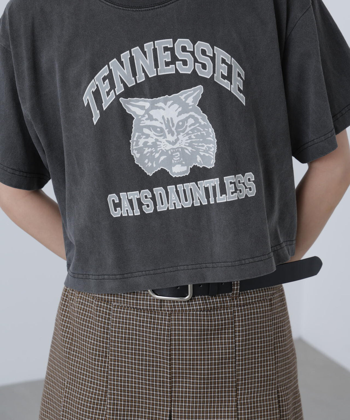 〈フリーズマート別注〉テネシーリバーショート丈Tシャツ