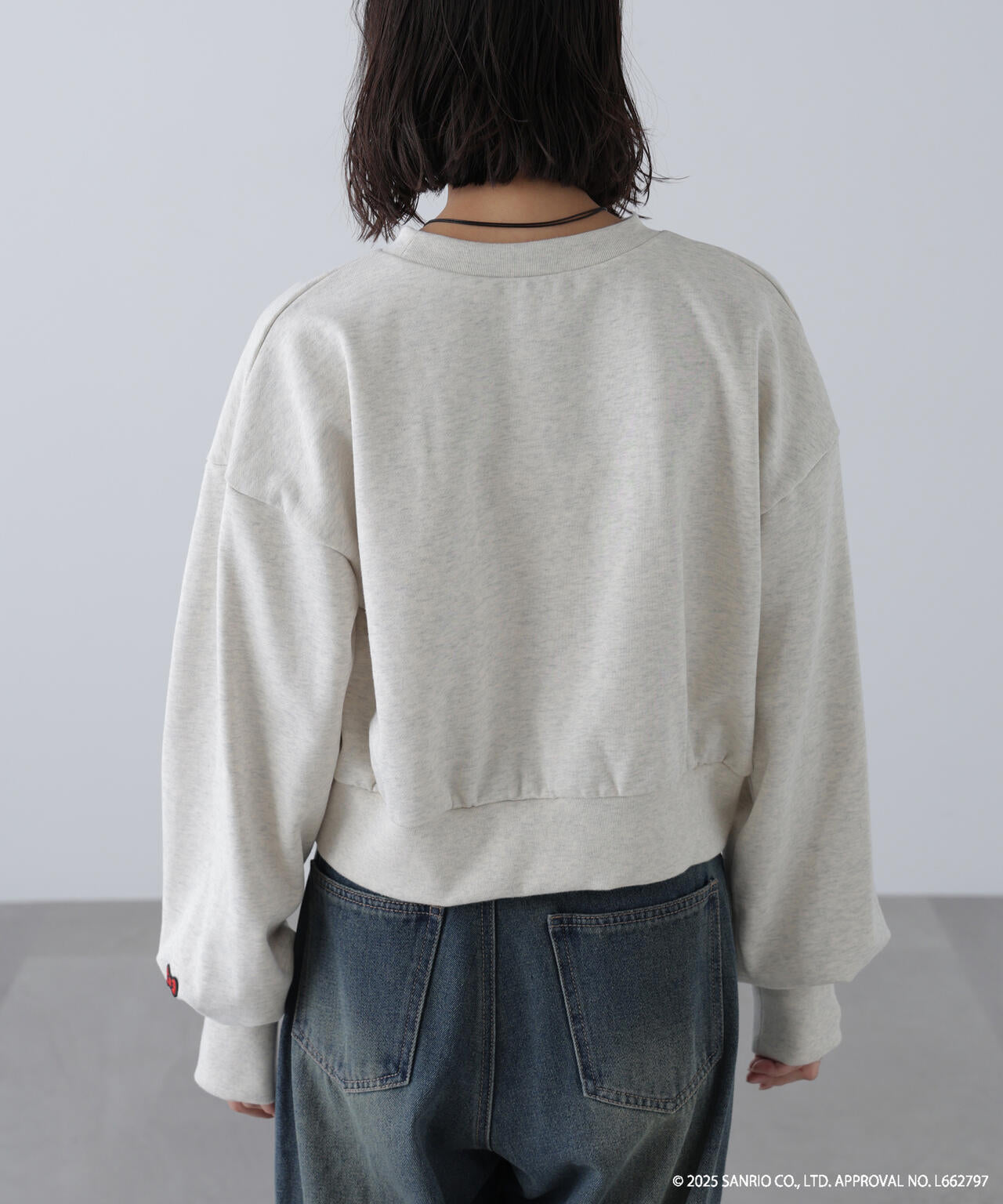 【HELLO KITTY】サンリオキャラクターズコラボ SHORT SWEAT ショートスウェット 胸LOGO×袖RIBBON