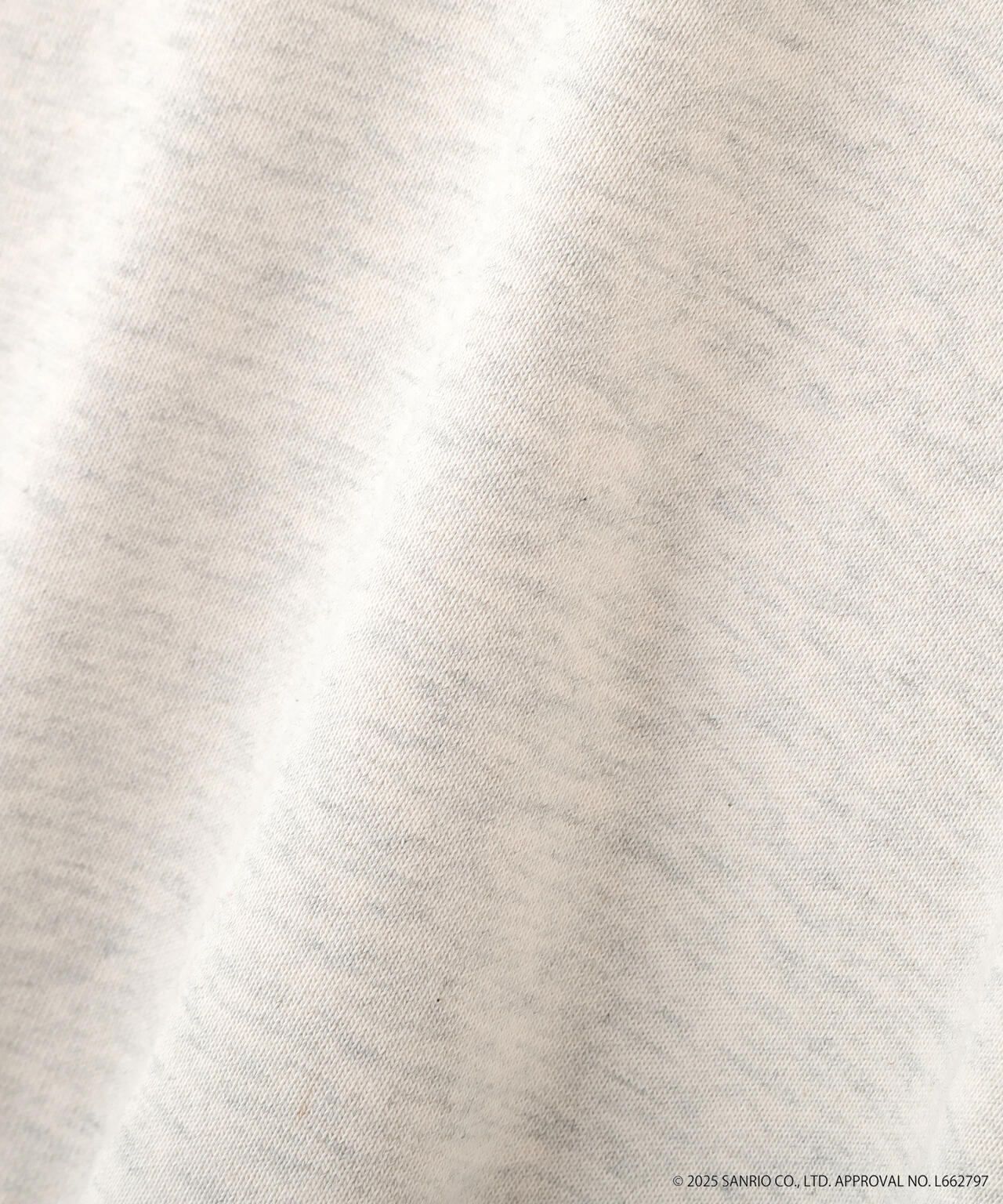 【HELLO KITTY】サンリオキャラクターズコラボ SHORT SWEAT ショートスウェット 胸LOGO×袖RIBBON