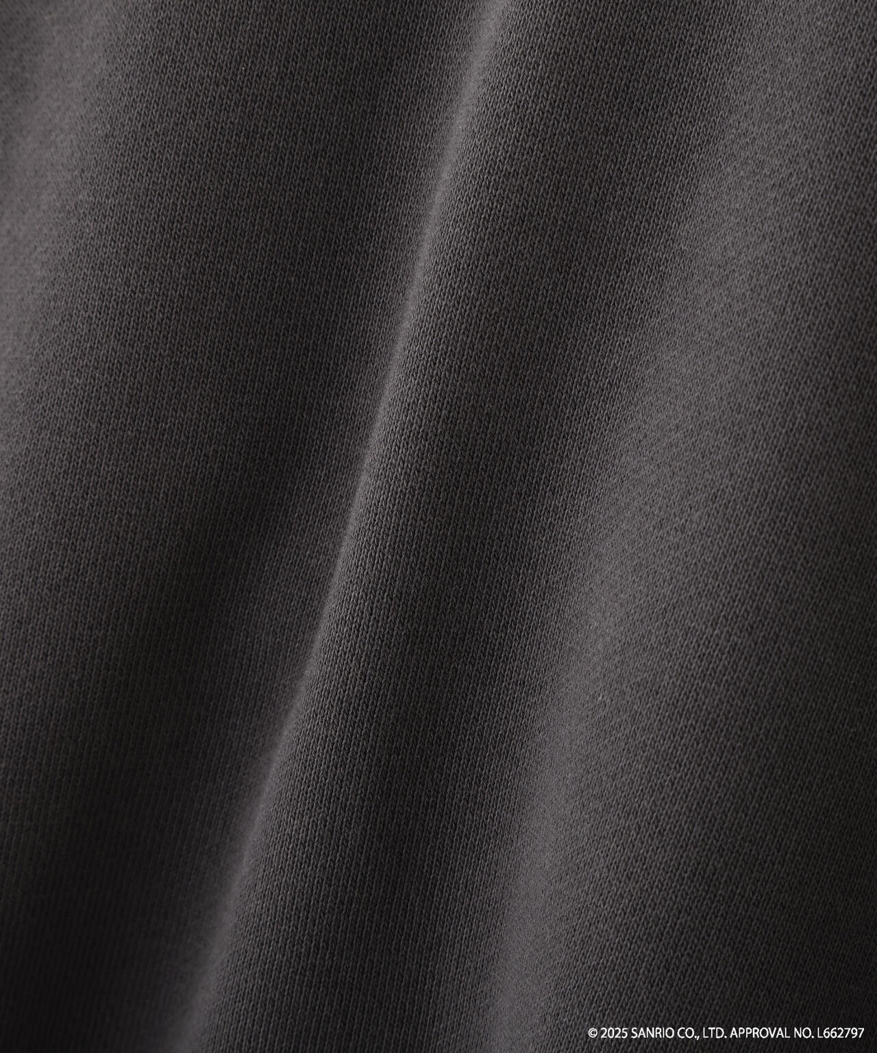 【HELLO KITTY】サンリオキャラクターズコラボ SHORT SWEAT ショートスウェット 胸KITTY×背面LOGO