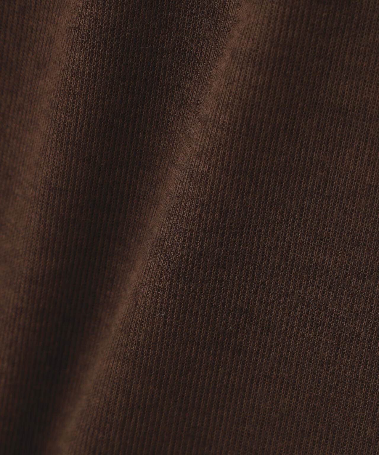 【追加生産予約】シアーテレコレイヤード風カットソー