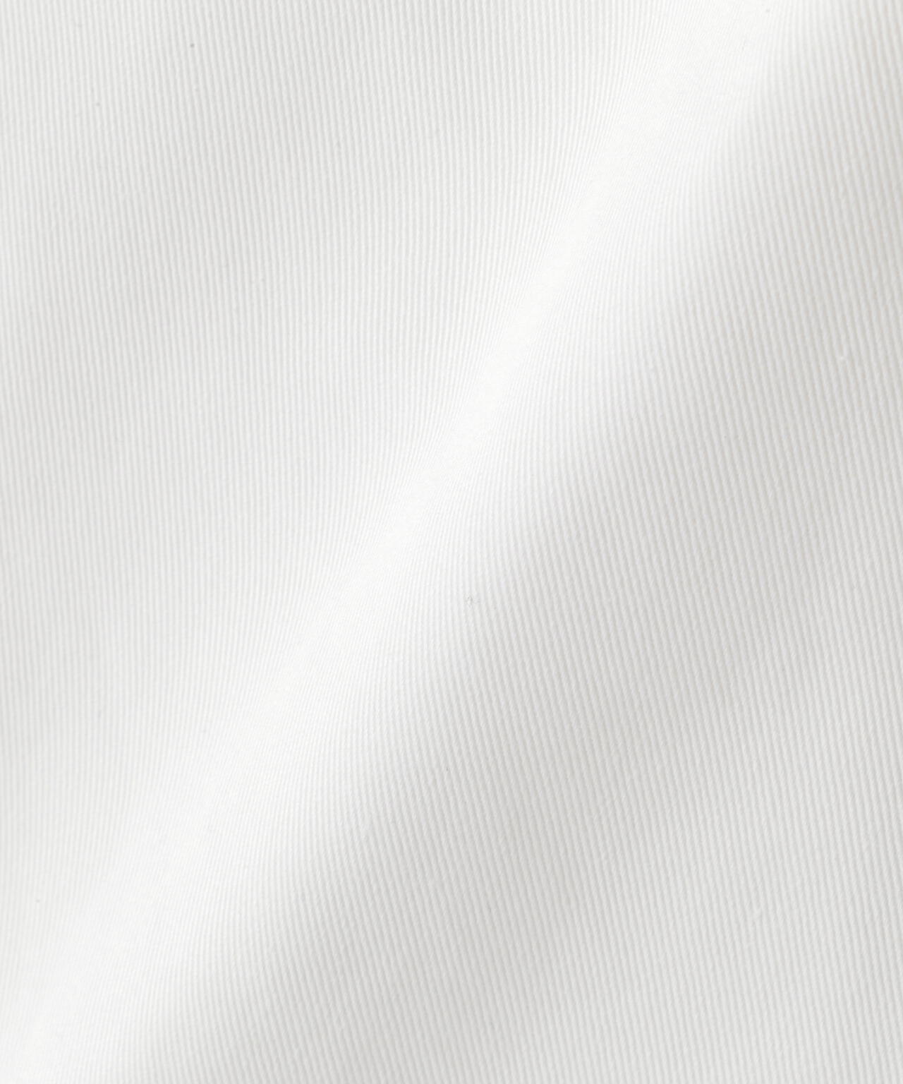 Ｙ / ORGANIC COTTON CHINO SHORTS