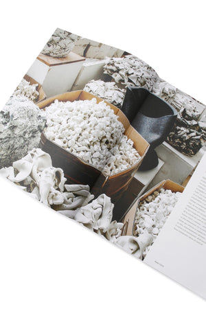 8aefb934-7f93-586f-a374-1a0f8514f54a_Image