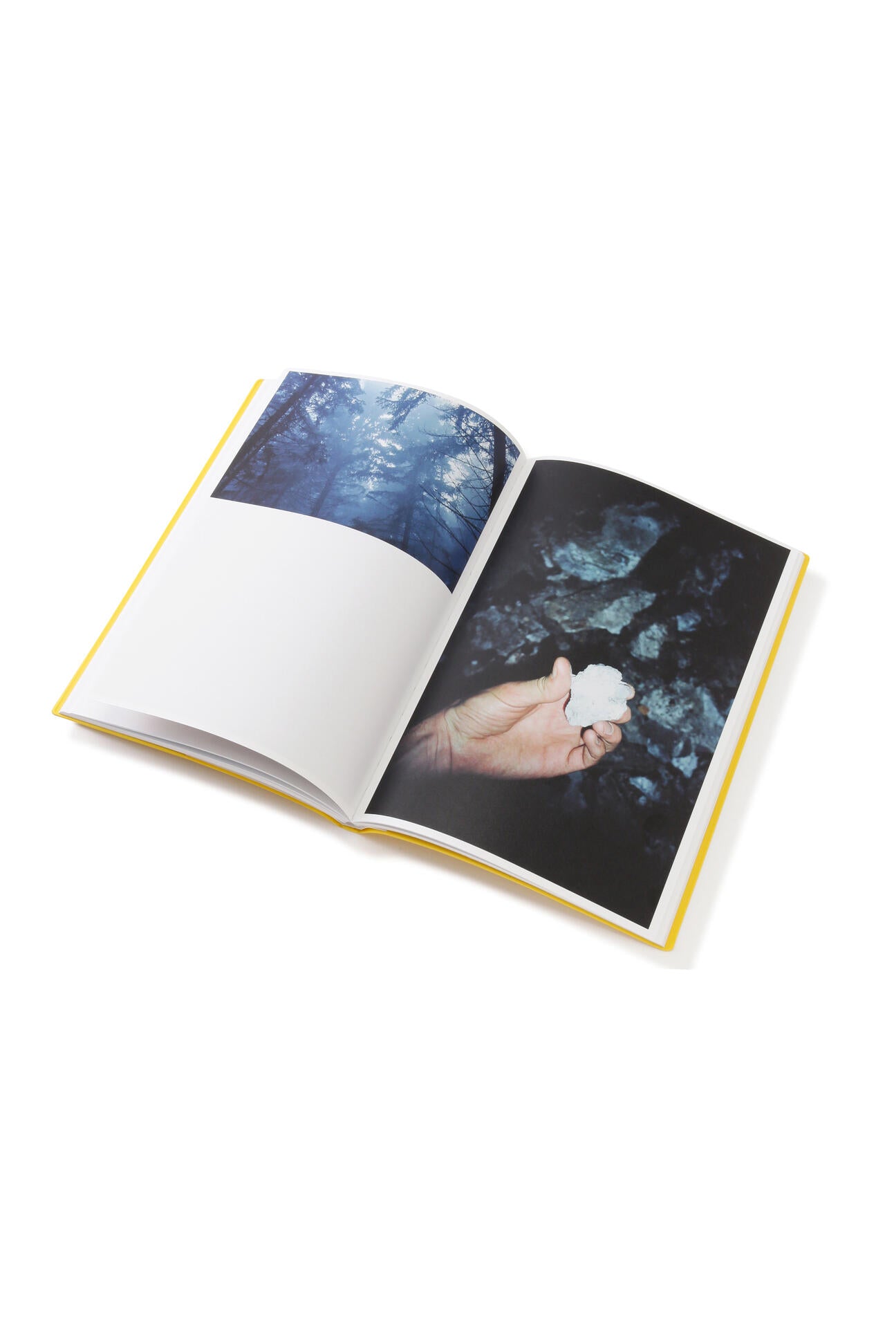 ea2a02fa-c464-5549-8675-2f22da594dd6_Image