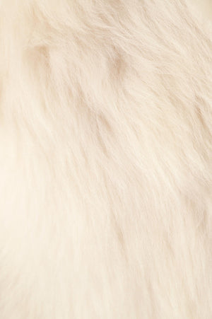 96990976-67b6-58dc-a9f3-455e7e0dfbcf_Image