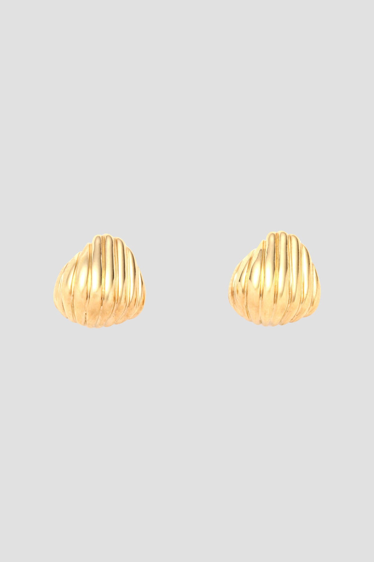 ASAMI FUJIKAWA / SMALL SHELL EARRINGS/GOLD | THE LIBRARY（ザ 