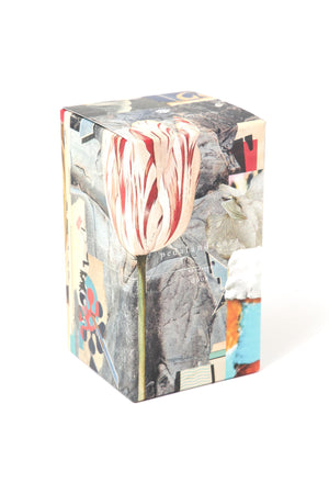 a846fac8-4865-51bd-89cd-a99e0b0dfa22_Image