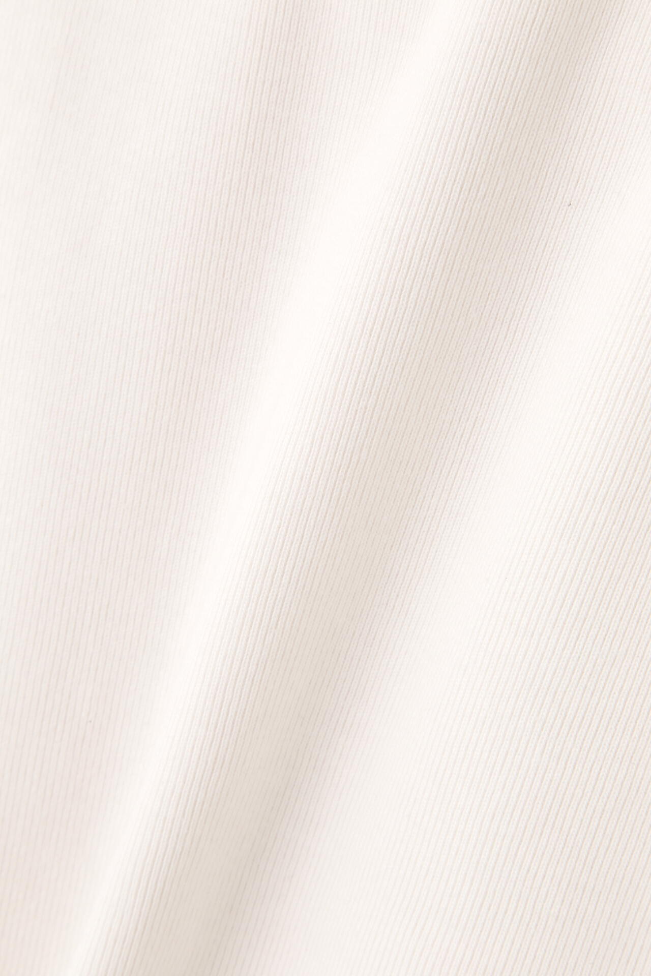 YLEVE / CTN RIB P/O
