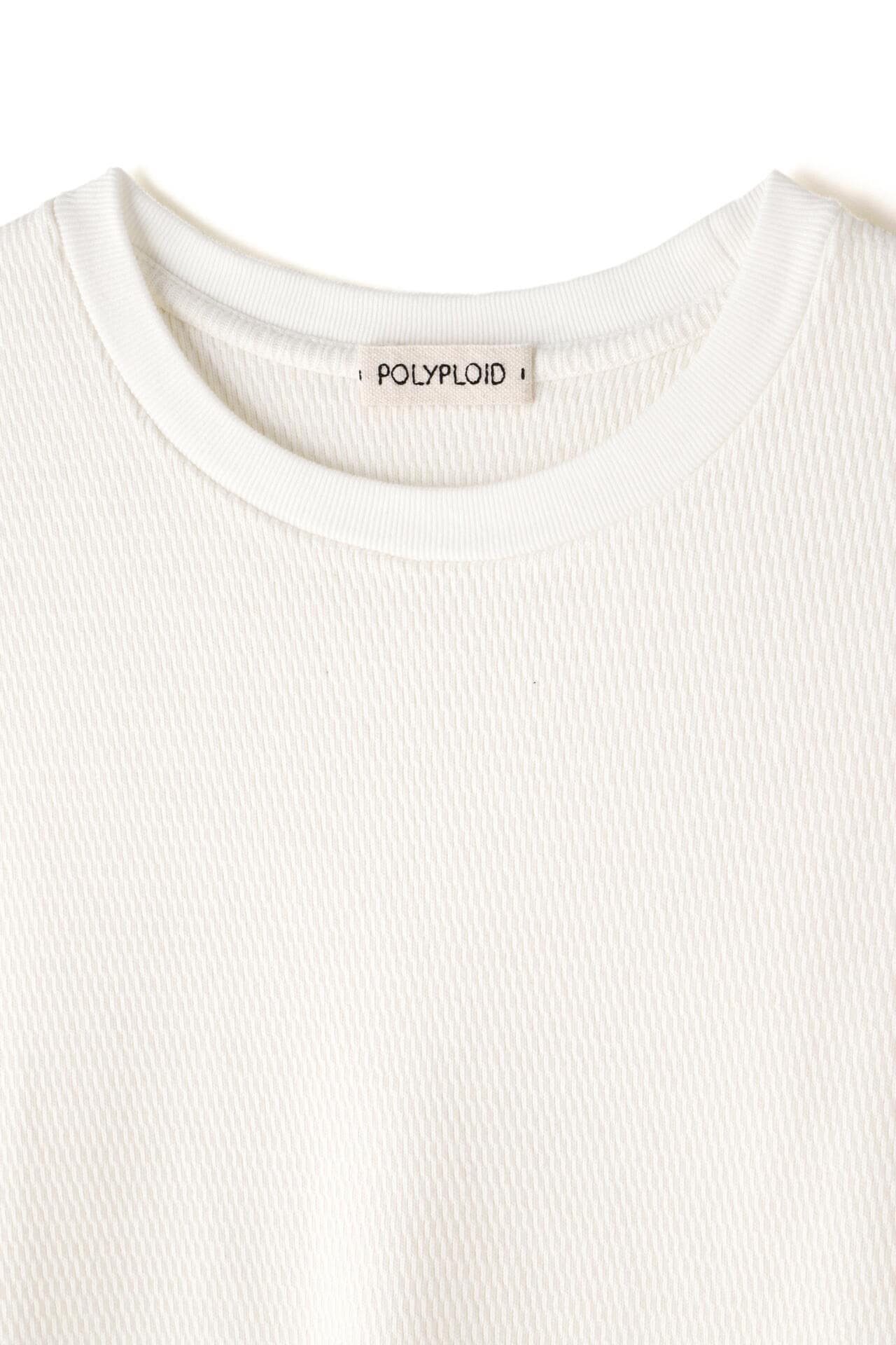 POLYPLOID / OVERSIZE LONGSLEEVE C | THE LIBRARY（ザ ライブラリー