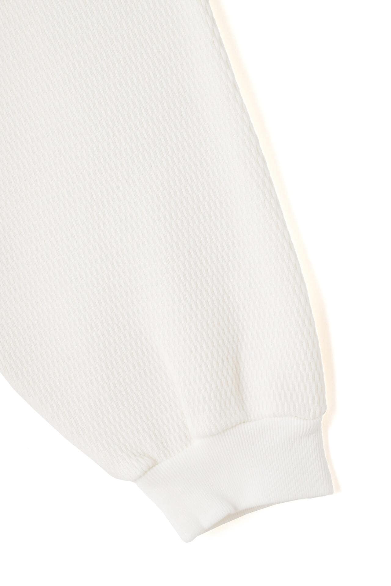 POLYPLOID / OVERSIZE LONGSLEEVE C | THE LIBRARY（ザ ライブ