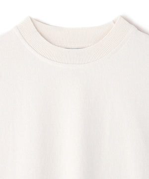 97038a78-5537-55e5-97e9-e35c422a1dda_Image