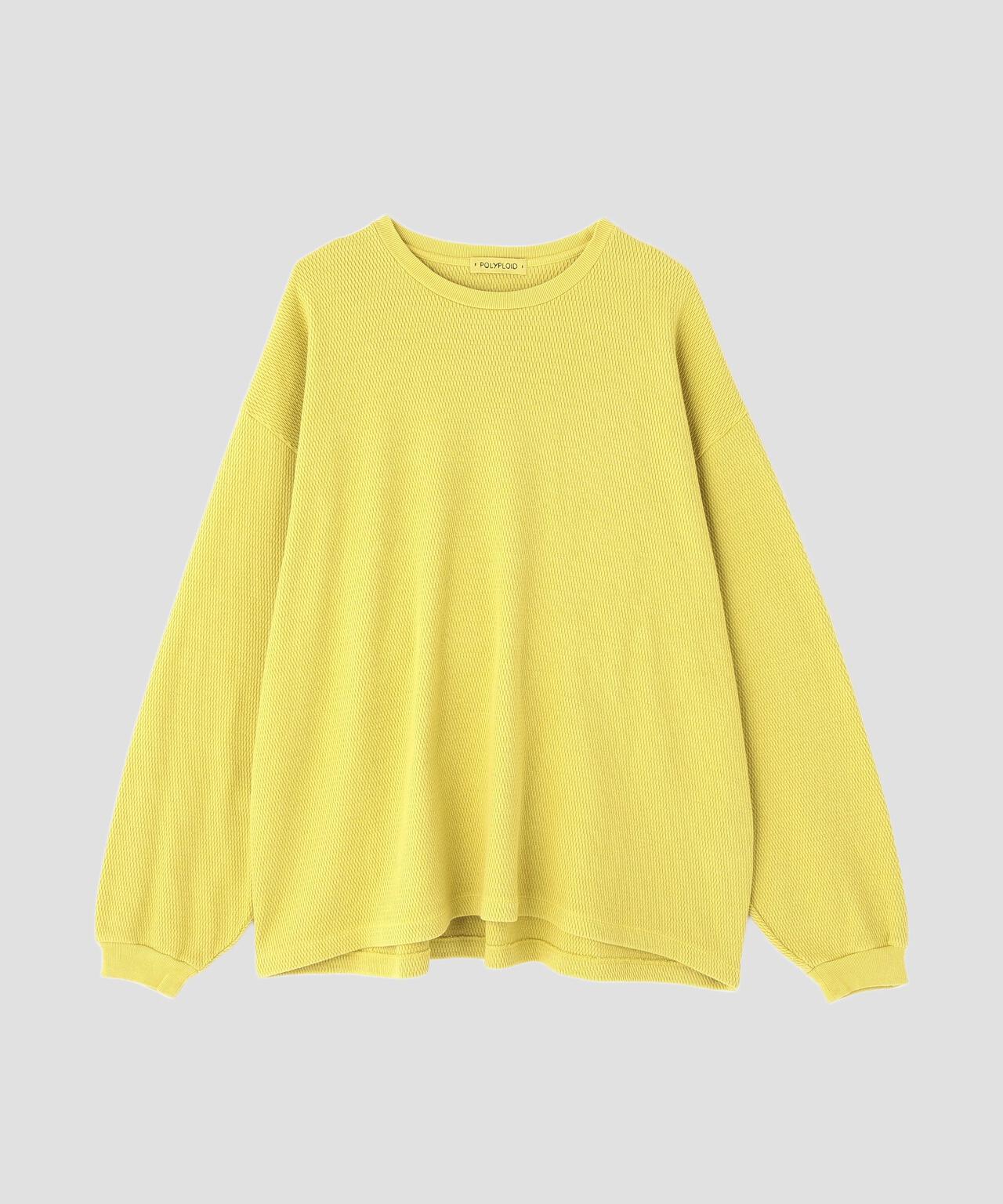 POLYPLOID / OVERSIZE LONGSLEEVE C