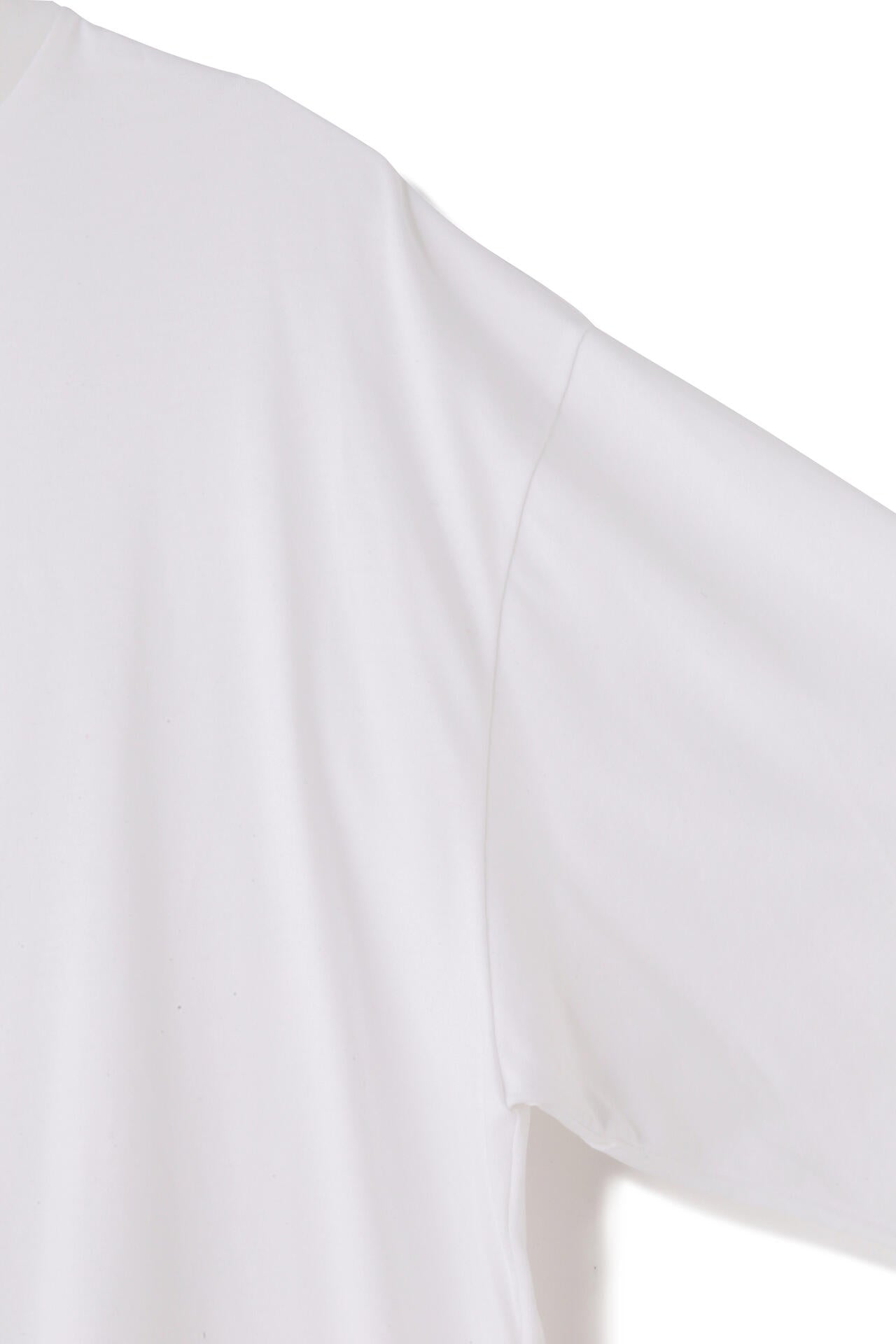 YLEVE / SOFT ORGANIC COTTON TURTLE