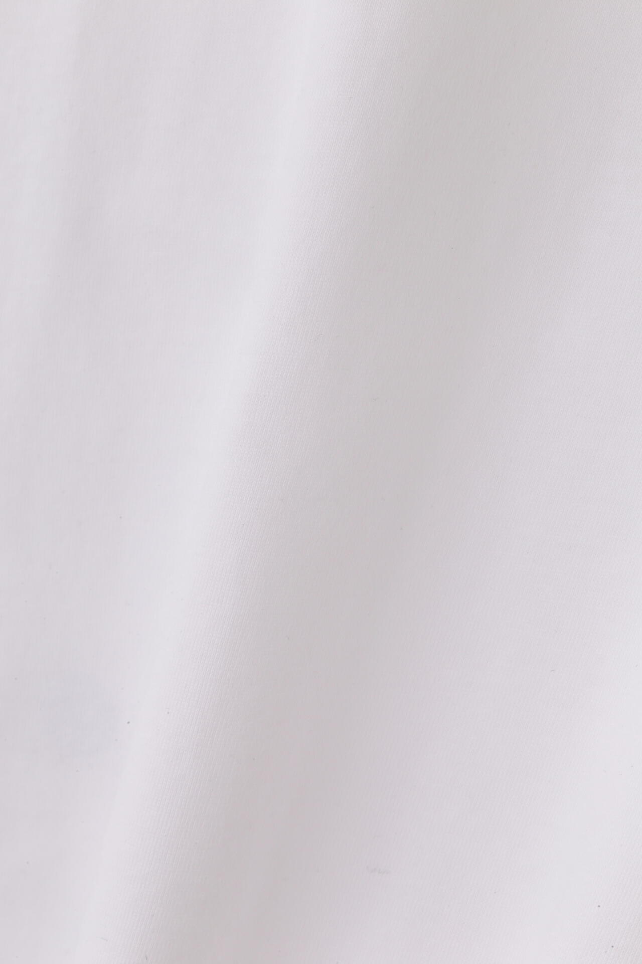 YLEVE / SOFT ORGANIC COTTON TURTLE