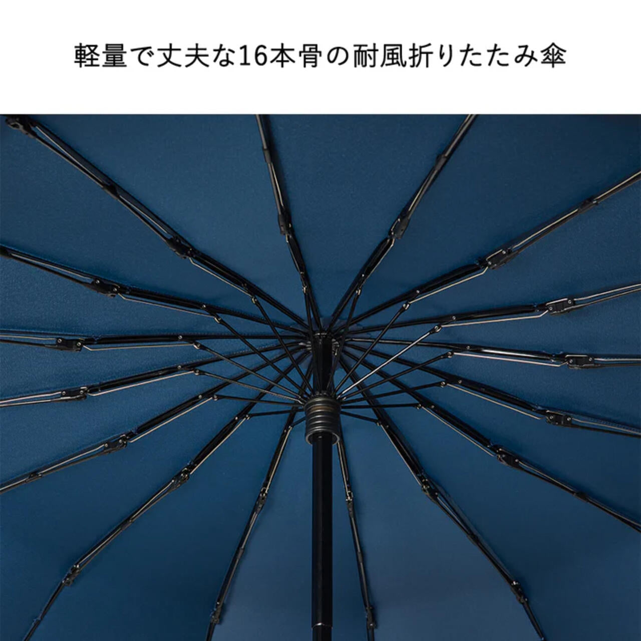 【激レア】 PLAVE 2023年 ASTERUM UMBRELLA 長傘 ミルキートーンアンブレラ_フラワーPOE長傘 | CRUX UMBRELLA CATALOG