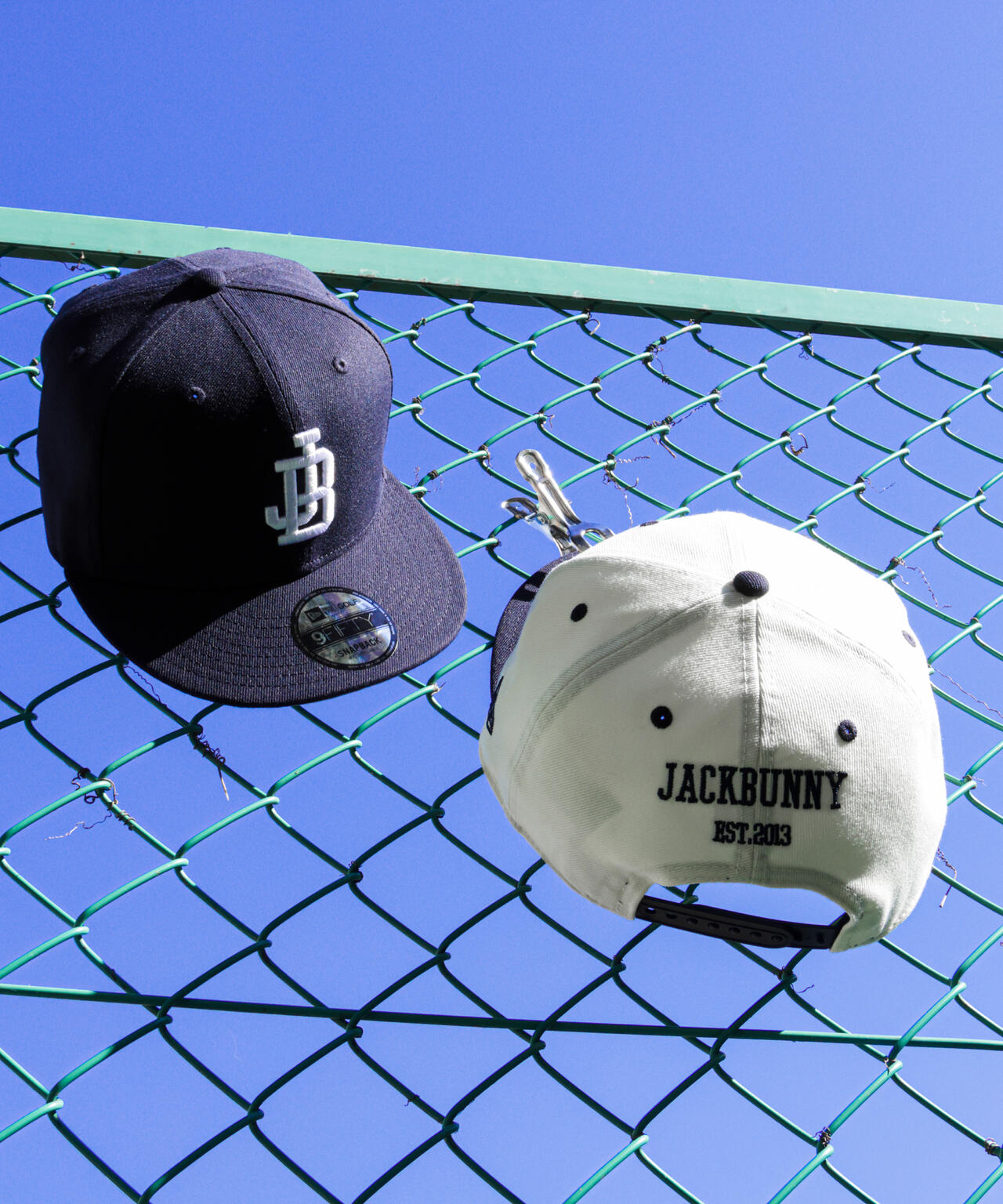 098fff79-104d-52b2-97f3-fbfb737c67d4_Image