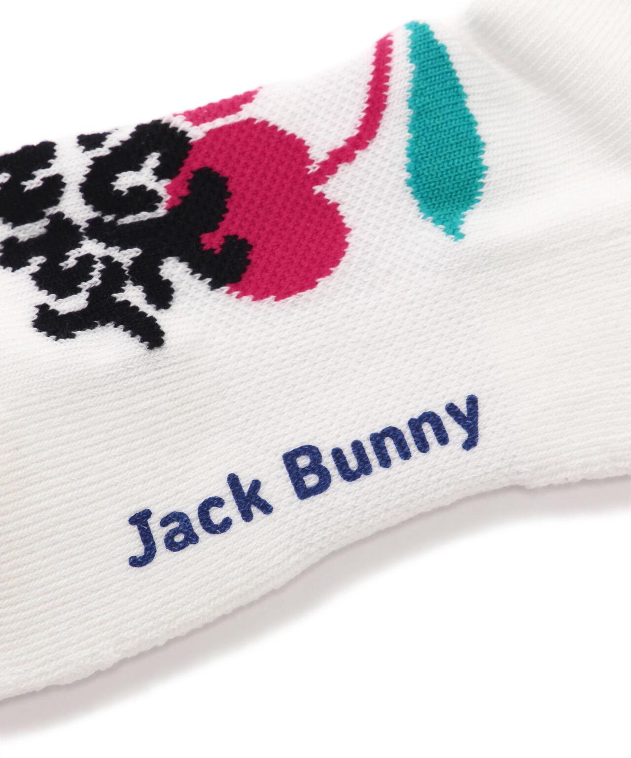 bacea80f-a70a-53f0-bc41-ecd23592259d_Image