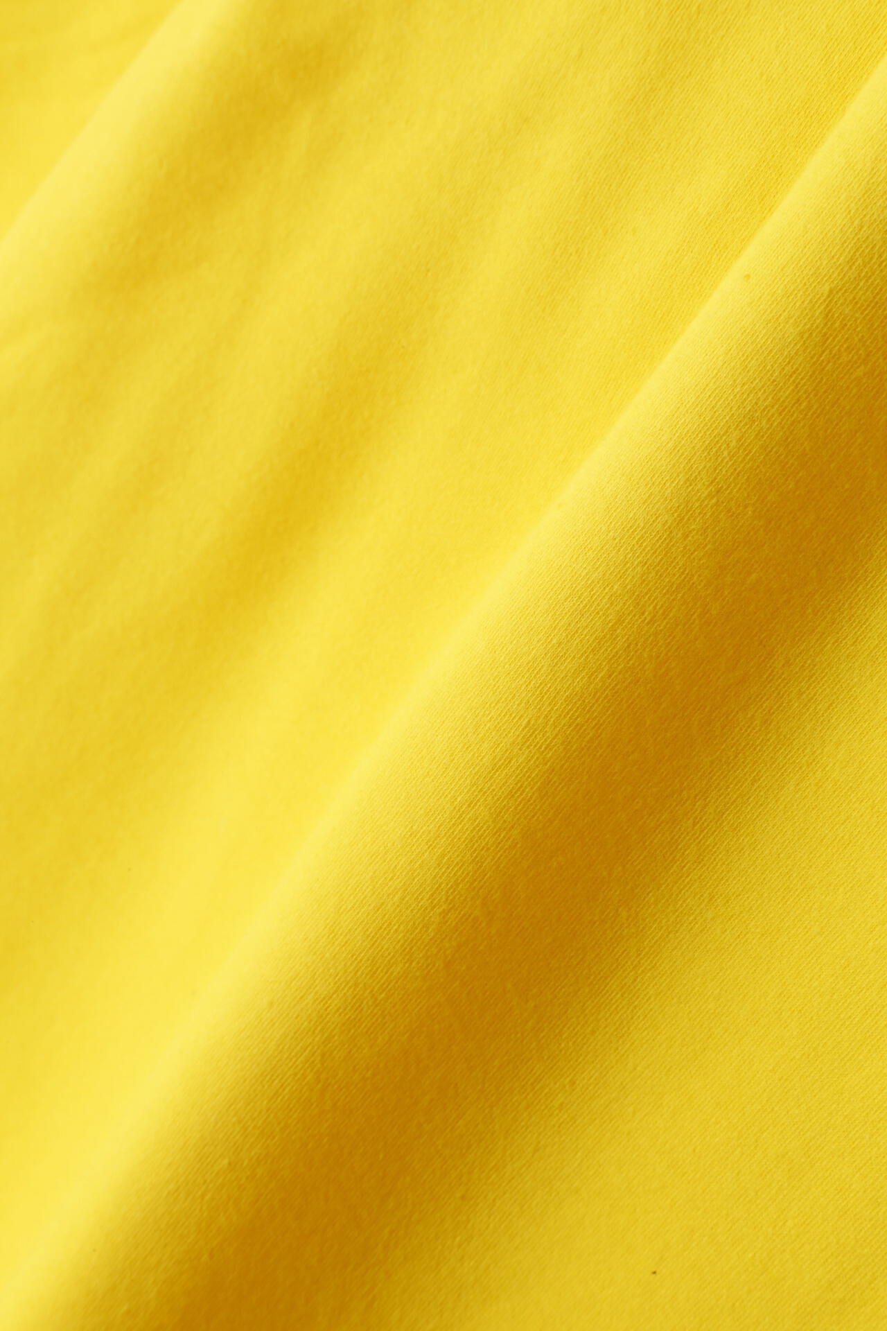 6e7034ff-0695-5467-8cb5-710c80dfaf51_Image