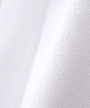 ffdcf299-e332-53a1-befc-a09a0ca33a51_Image