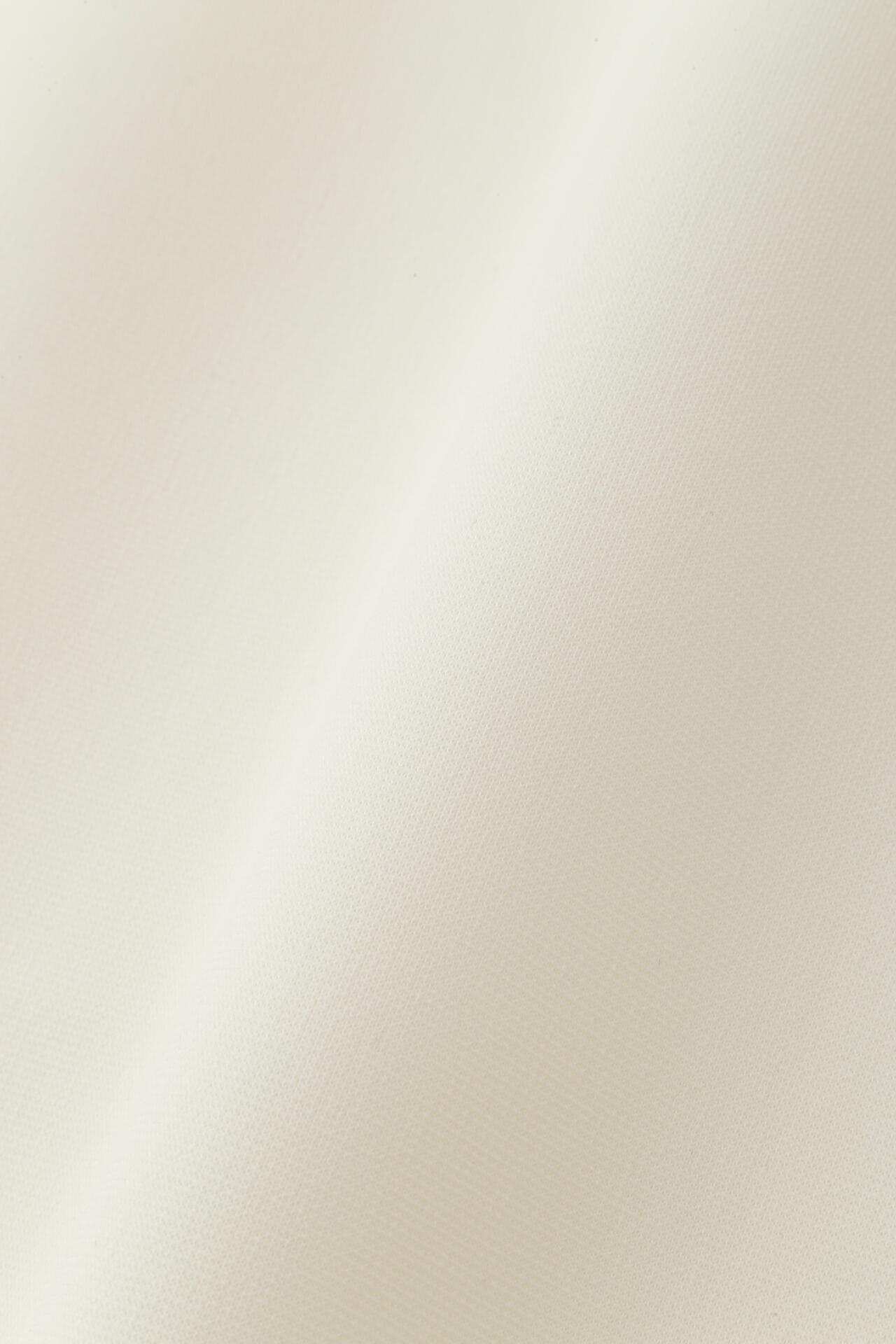 ADOREトップス シアージャージーカットソー | ADORE（アドーア） ｜【公式